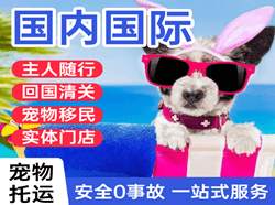石家庄空运代理国际宠物托运 【国